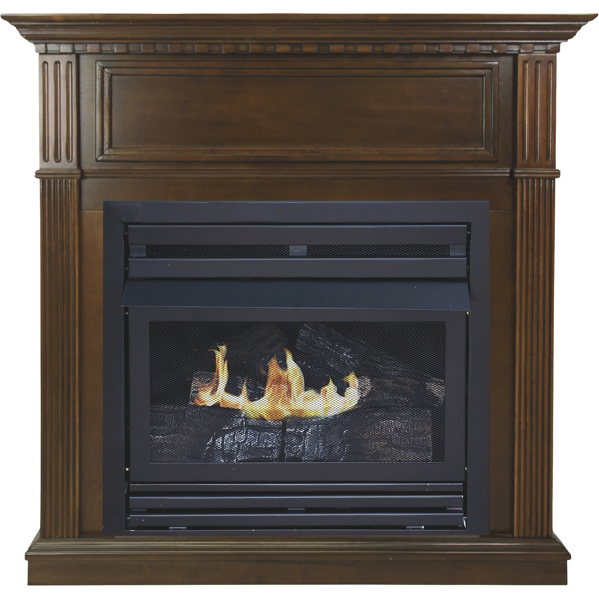 VentFree Propane Gas Stove — 30,000 BTU, Model QL300TYLA